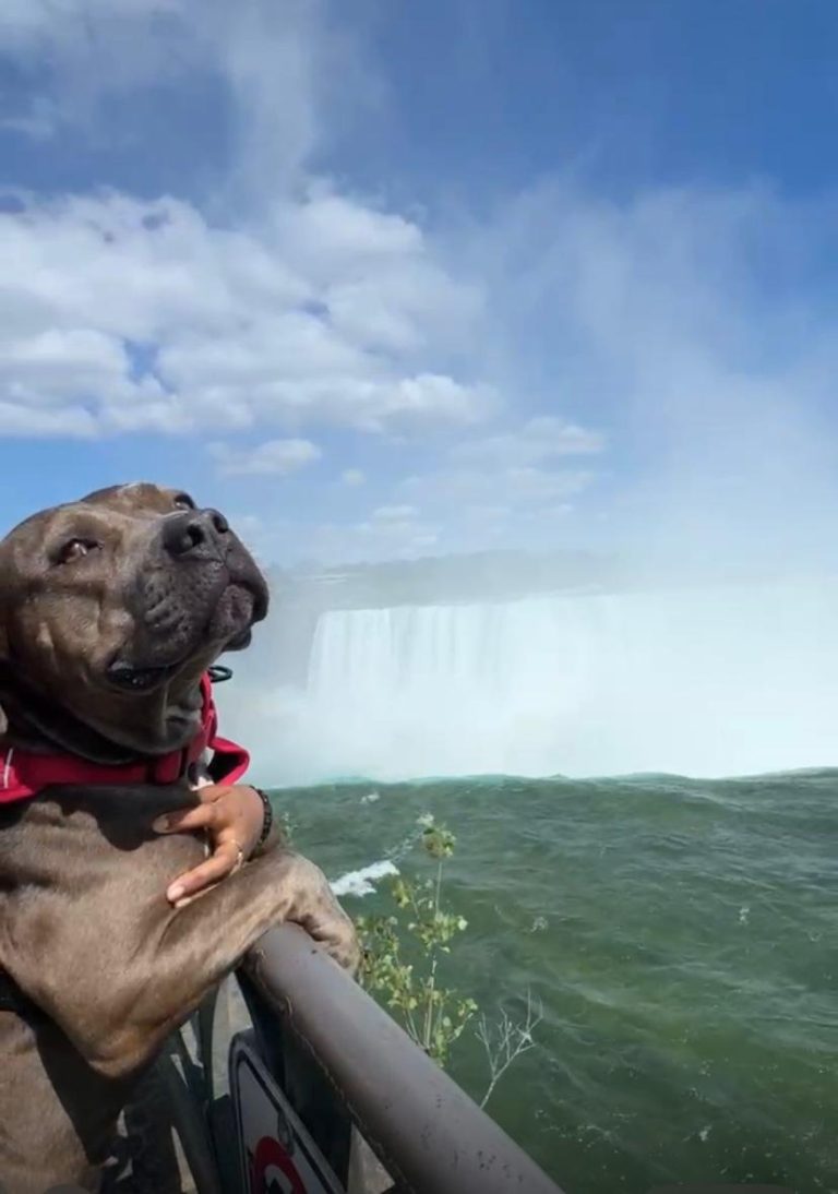 IMG-20250919-WA0015 (1)