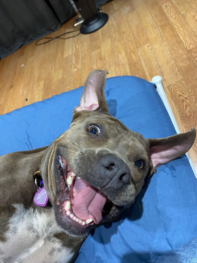 IMG-20251006-WA0003 (1)