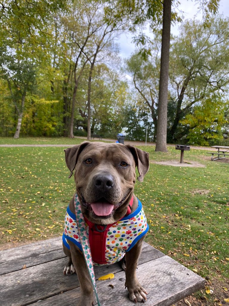 IMG-20251013-WA0014 (1)