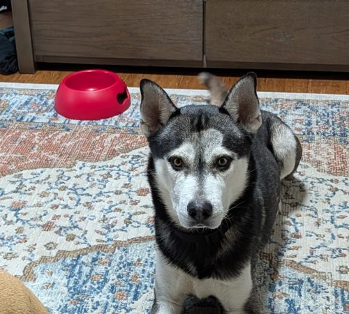 08bf1354-3147-46ed-a9f7-adf844a63880-e9bdb7ea-6018-4a53-8221-d02ecf74f41a~2 (1)