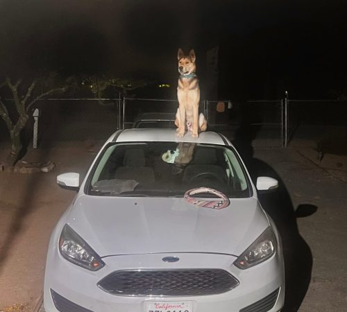 IMG-20251023-WA0000 (1)