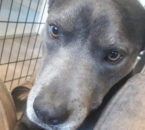 IMG-20251028-WA0008 (1)