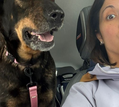 IMG-20260208-WA0012 (1)