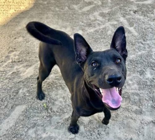 IMG_20251023_184108_(2)