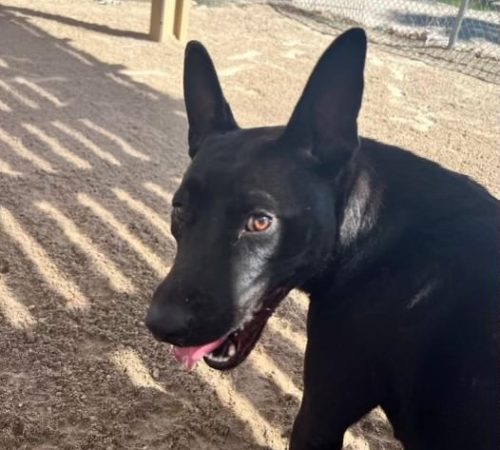 IMG_20251023_184116_(1)