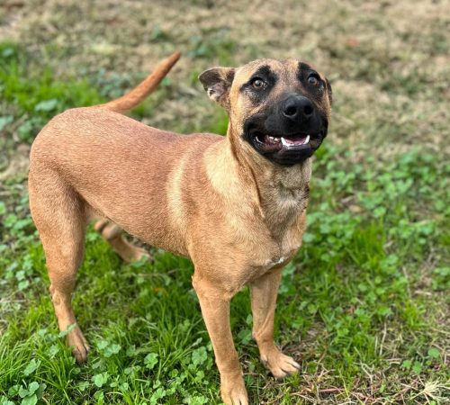 IMG_20251216_103940 (1)