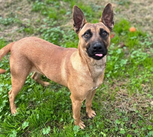 IMG_20251216_103940 (2)