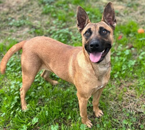 IMG_20251216_103940 (3)