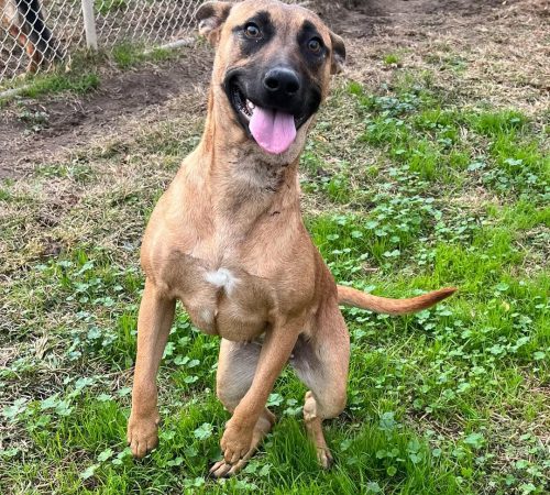 IMG_20251216_103940 (4)