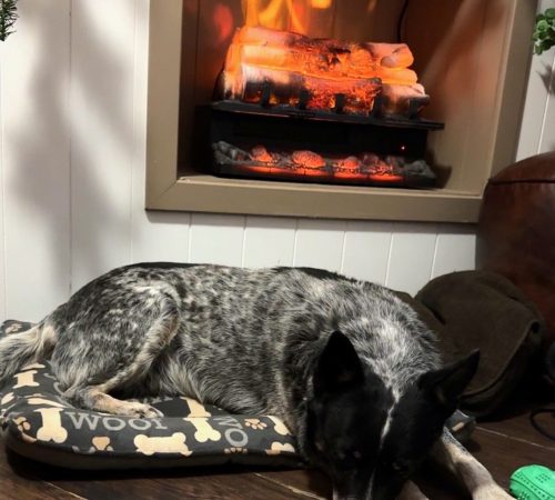 CjYKMlNuYXBjaGF0LzEzLjY4LjAuNTQgKGlQaG9uZTE2LDI7IGlPUyAxOC42LjI7IGd6aXApIAI=