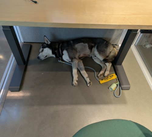 PXL_20260306_193104998